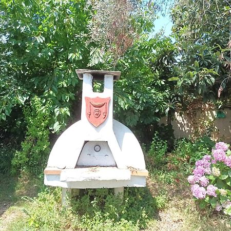 Olive Garden Villas And Apartments Хриси-Амудия Номер фото