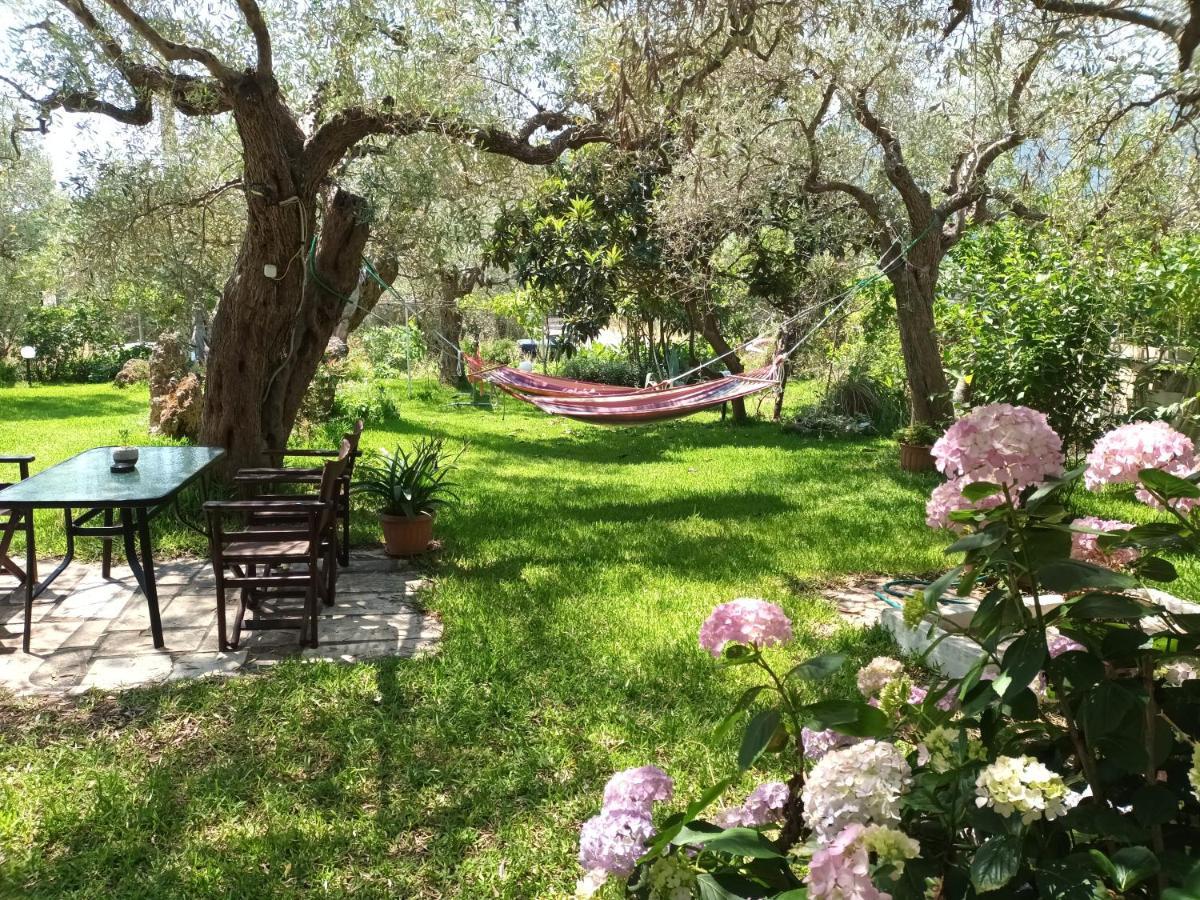 Olive Garden Villas And Apartments Хриси-Амудия Номер фото