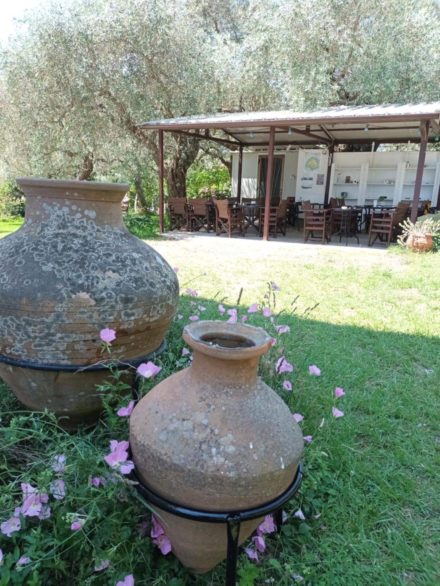 Olive Garden Villas And Apartments Хриси-Амудия Номер фото